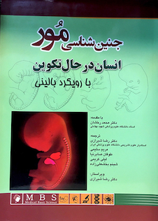 عکس جنین شناسی مور انسان در حال تکوین با رویکرد بالینی